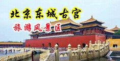 欧美美女吃大鸡巴中国北京-东城古宫旅游风景区